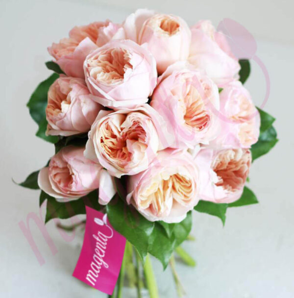 Petite Bouquet de Rosa Inglesa