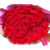 48 Rosas Rojas
