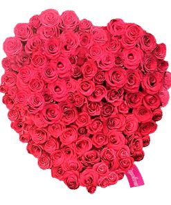 Corazón de Rosas Rojas Heartbeat