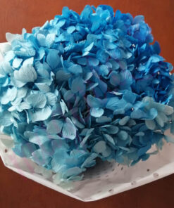 Hortensias deshidratadas - Image 7
