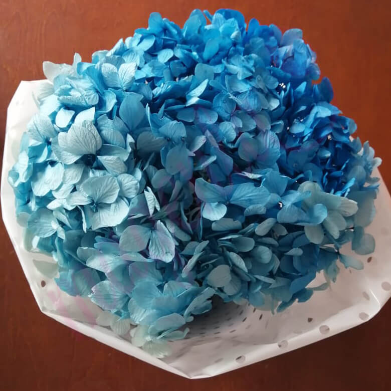Hortensias deshidratadas - Image 7