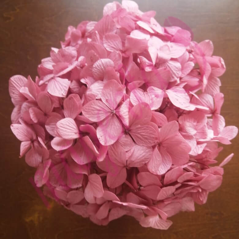Hortensias deshidratadas - Image 5