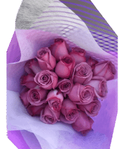 Ramo de 24 Rosas Colores
